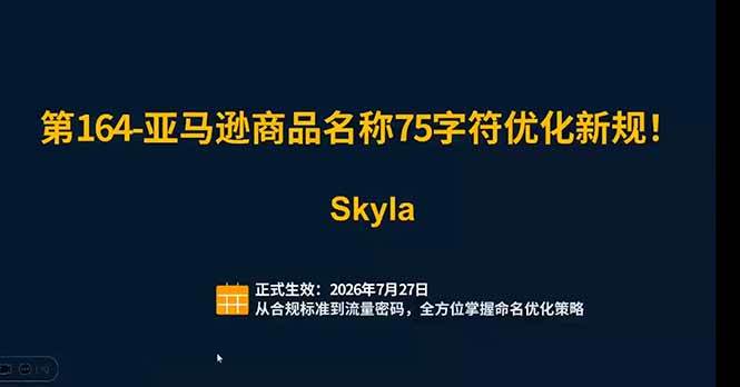 （19352期）亚马逊跨境实战课：全品类选品逻辑｜SP/SB/SD广告精细化｜新品打爆旺季爆单全套运营教程