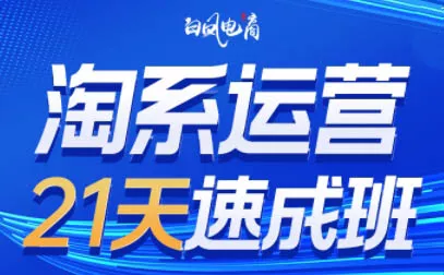 白凤电商·淘系运营21天速成班(更新7月)-聚码资源